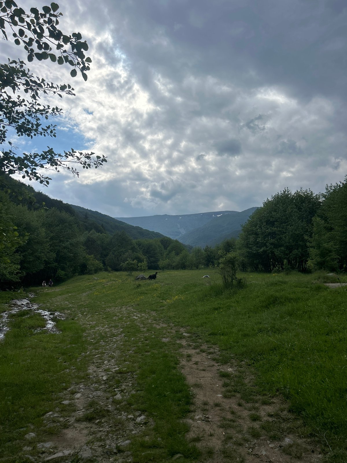 Afternoon hiking excursion documented in Bulgarian mountain village