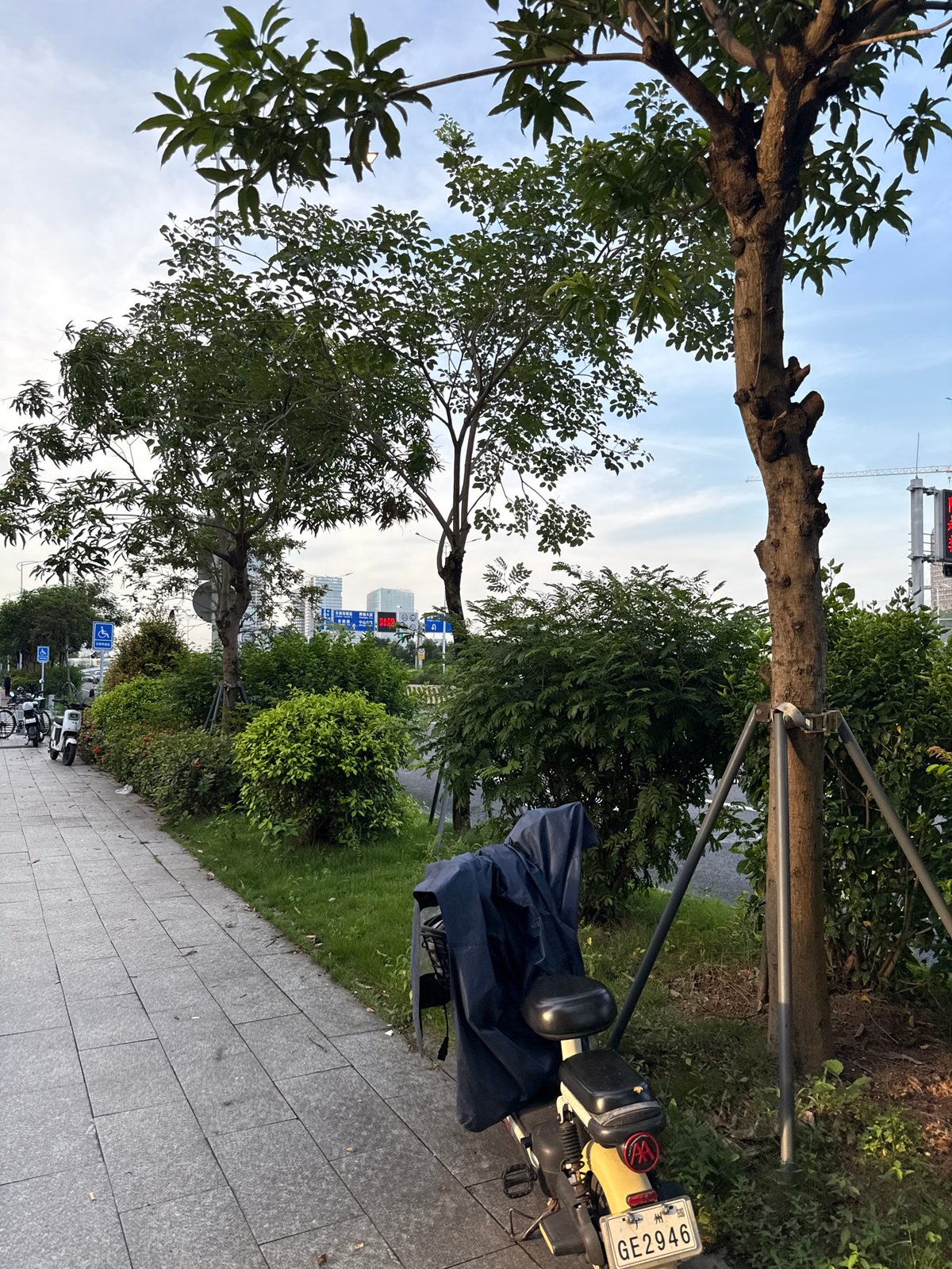 Glass towers and street life along a Haizhu District corridor