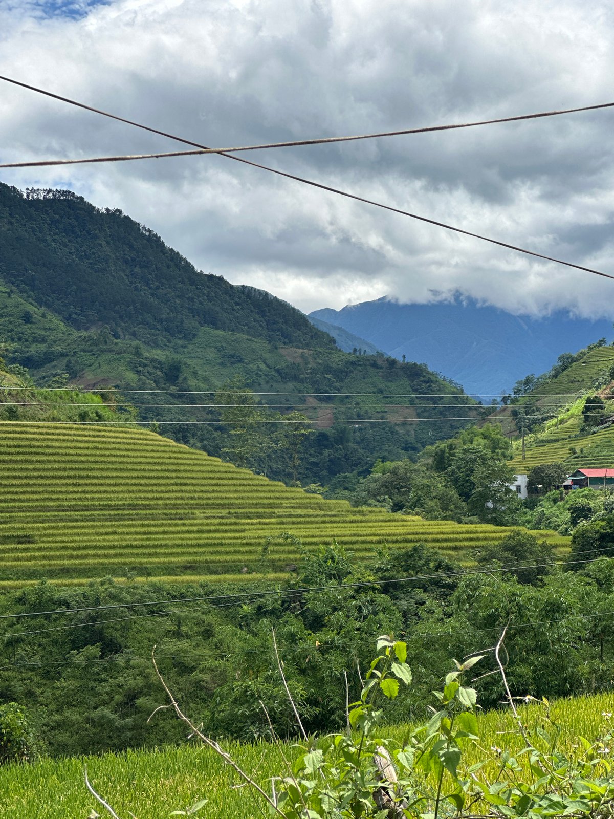 Motorcyclist captures terraced rice fields during Vietnam mountain journey