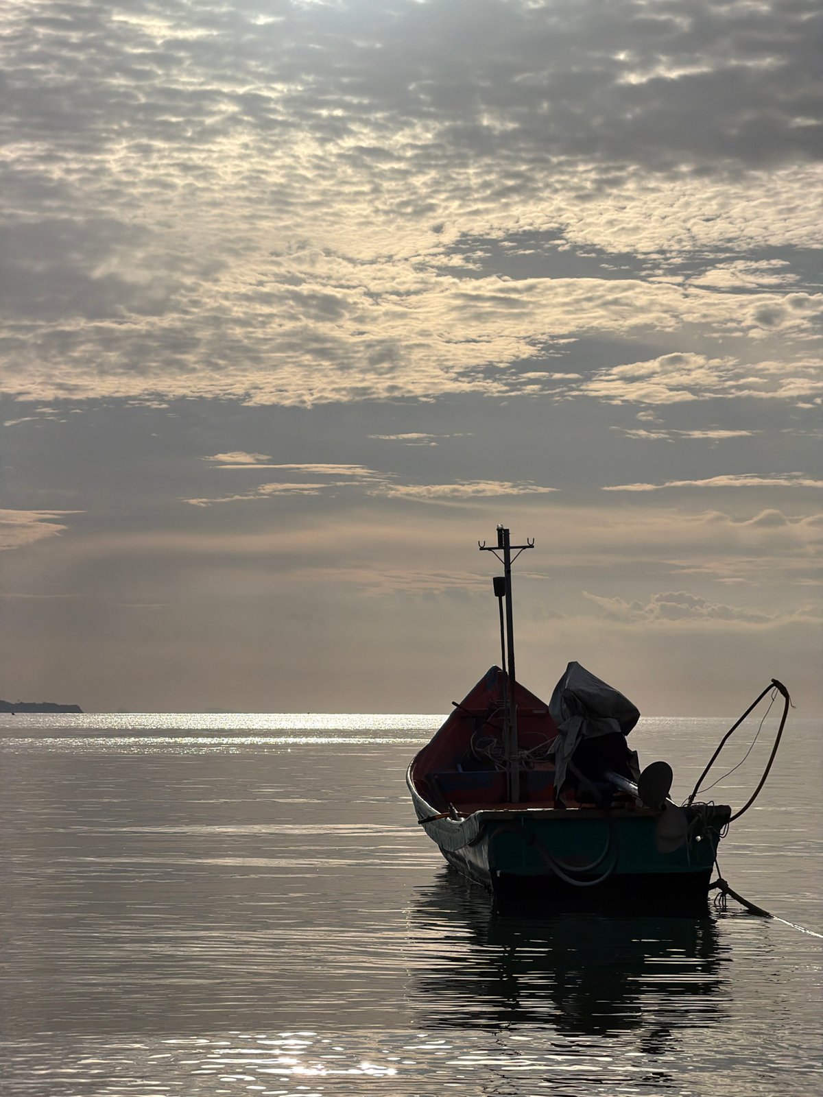 Ko Samui morning: coastal boats and a roadside plant nursery