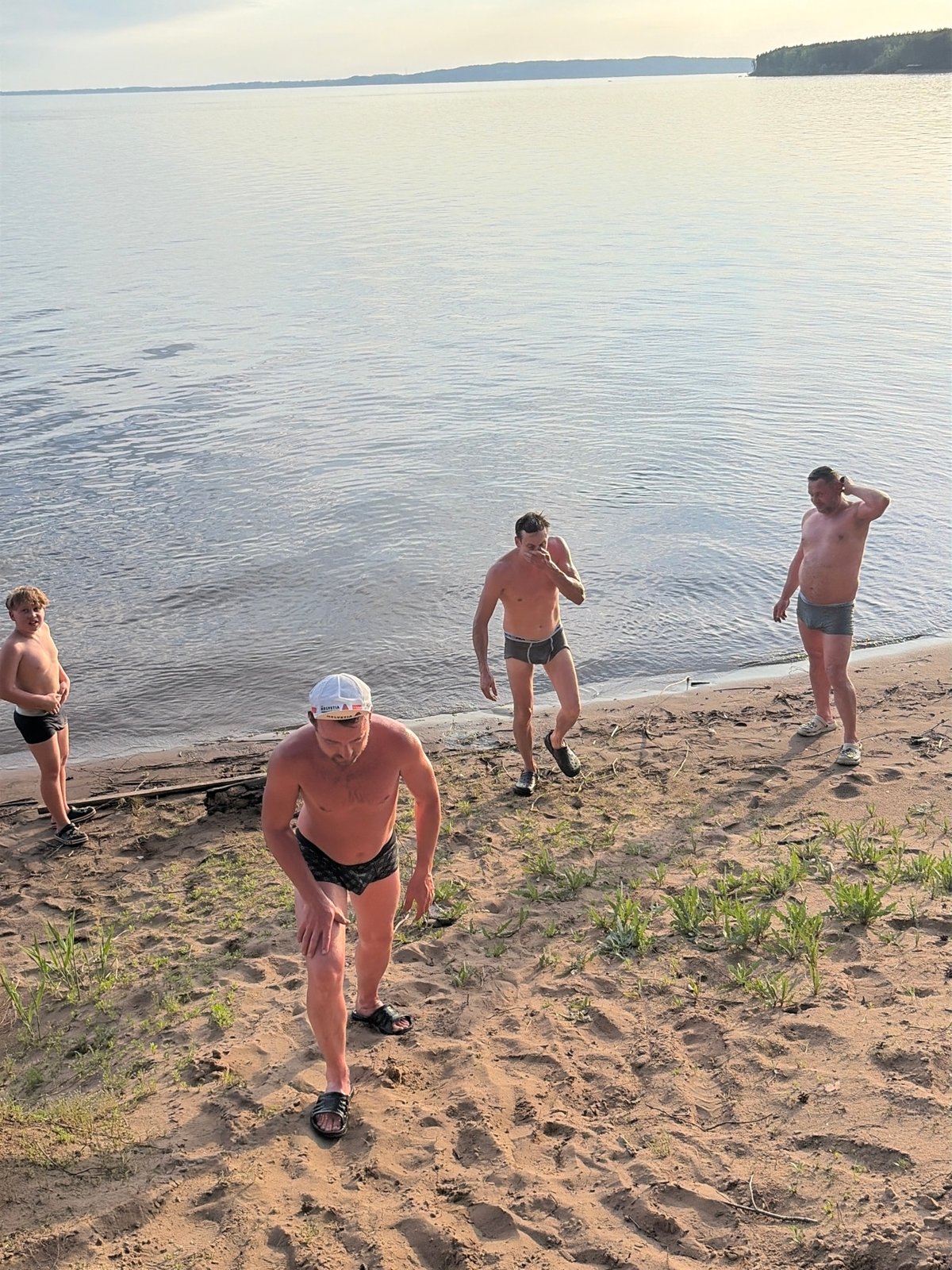 Beach gathering and wildlife encounter documented in Забегаево