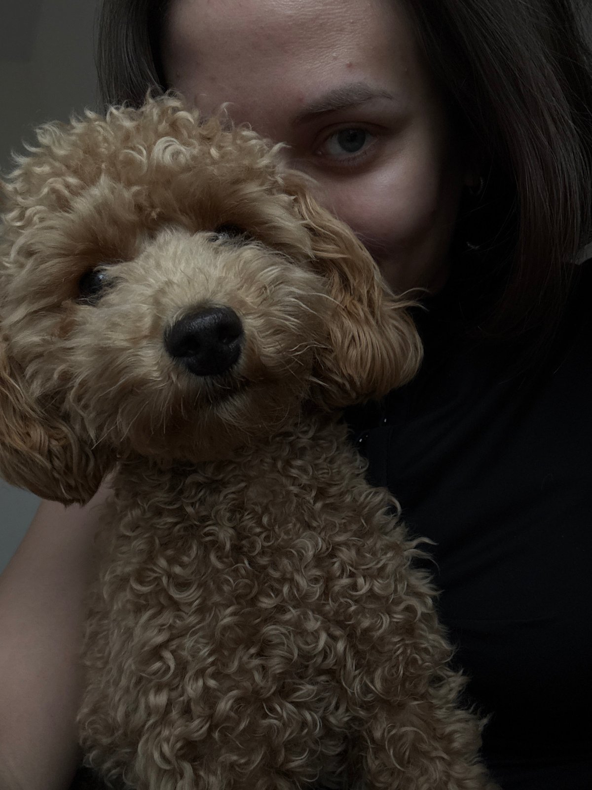 Woman takes selfies with poodle in Pervomaysky, Russia