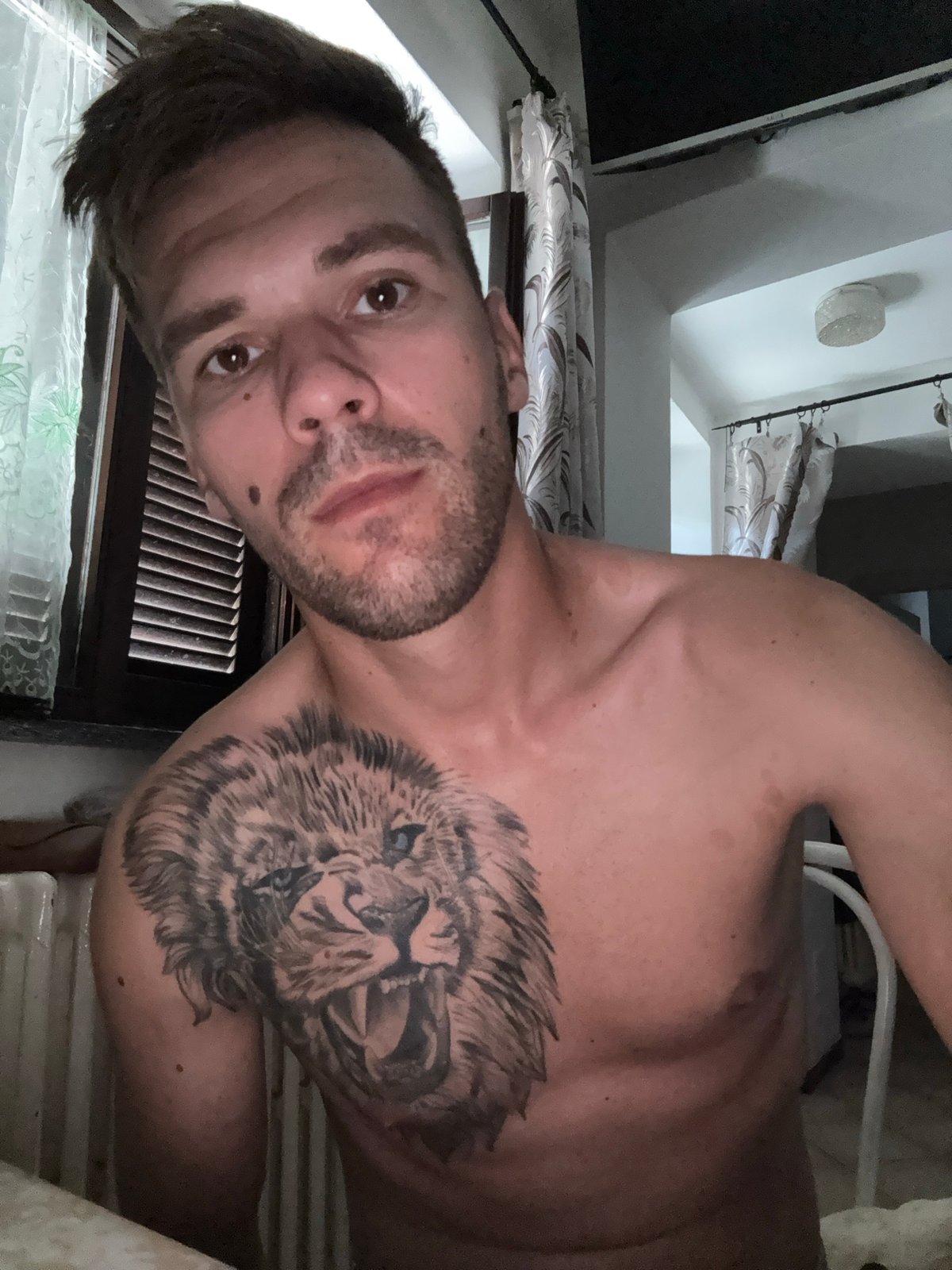 Lazy afternoon at home in Sesto Calende, lion tattoo front and center