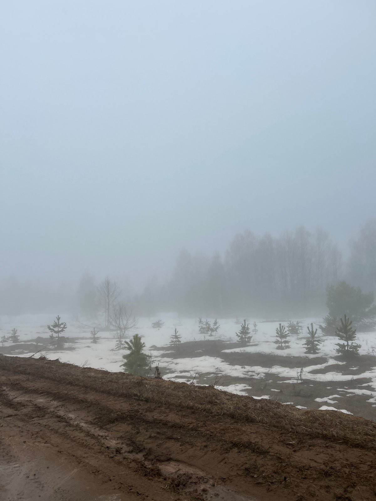 Heavy fog shrouds rural roads near Ural'skoe, Russia