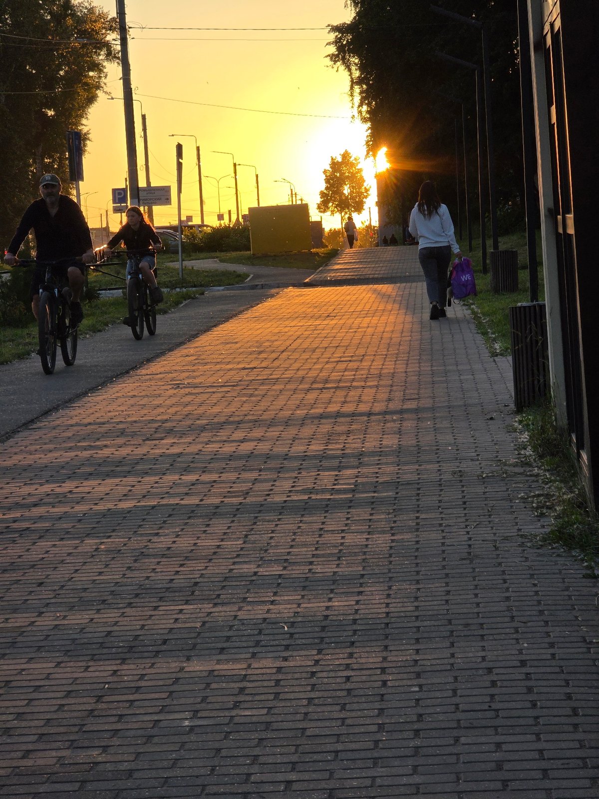 Golden hour documentation session captures sunset and cat portraits