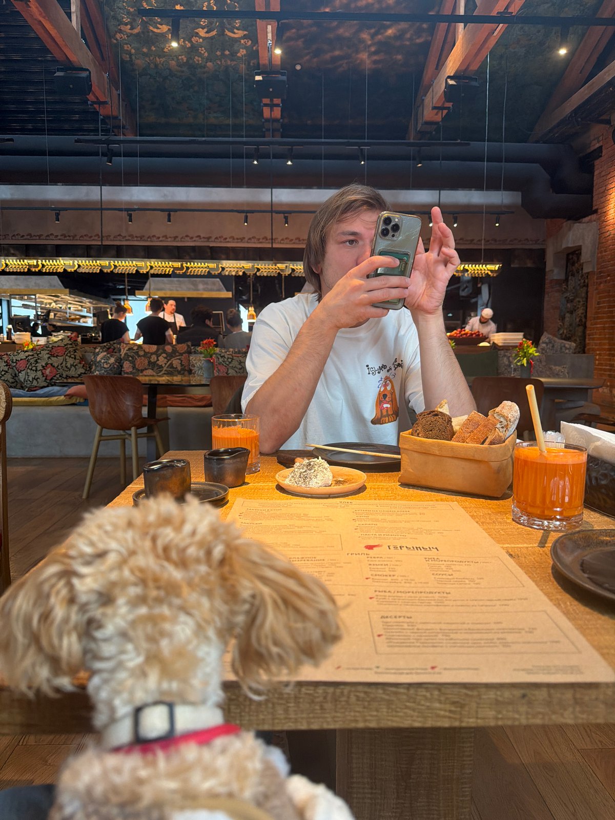 Man photographs with dog at Moscow restaurant table