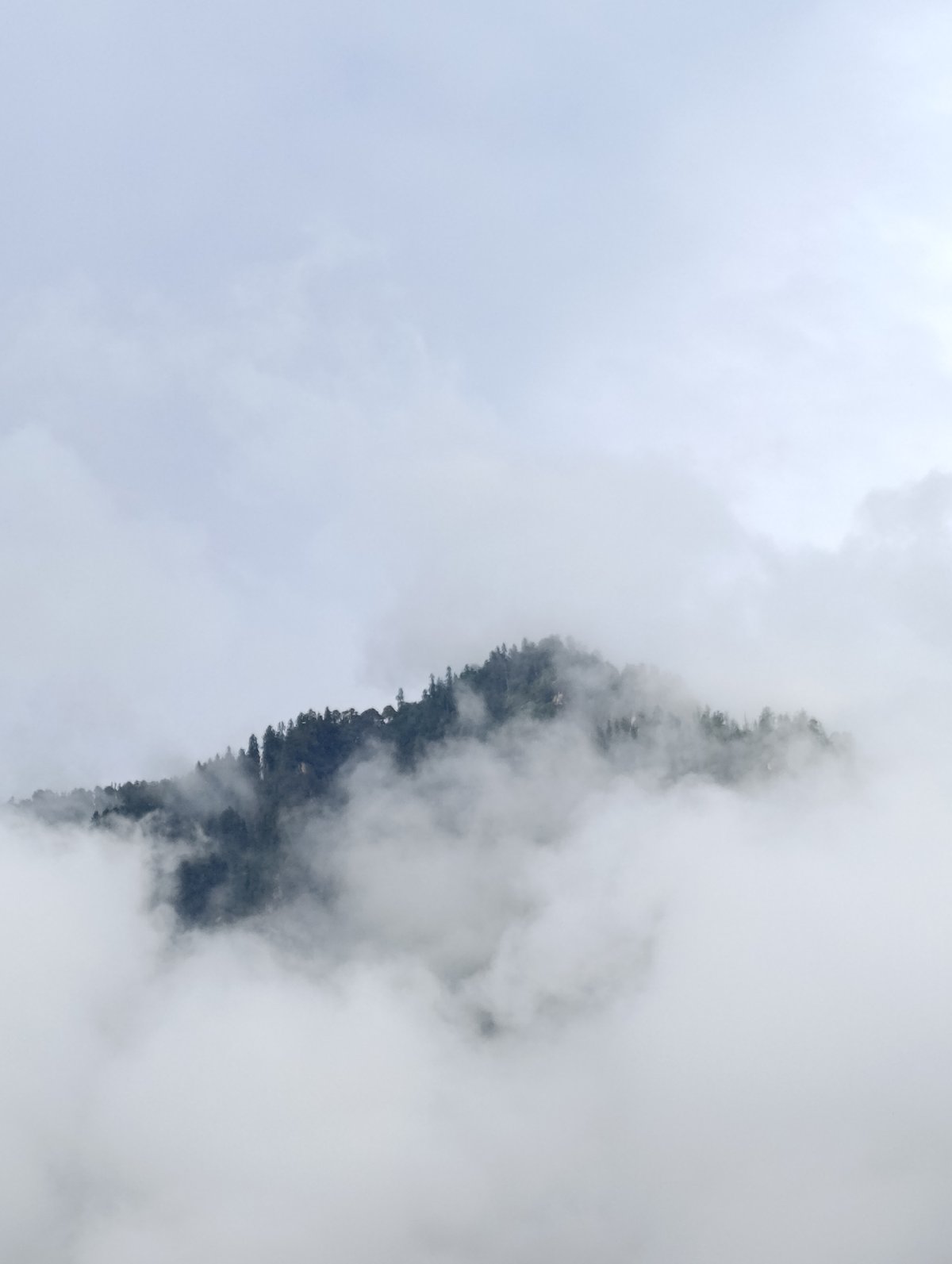 Misty peaks and parked buses in Manali, India