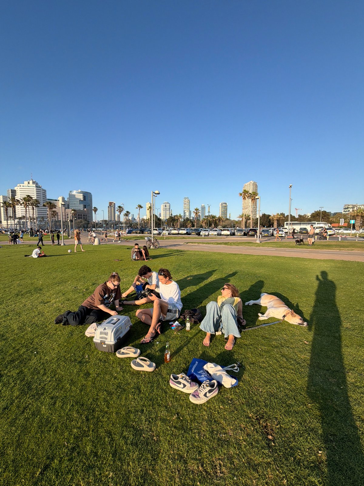 Afternoon leisure gathering observed on Tel Aviv waterfront grass