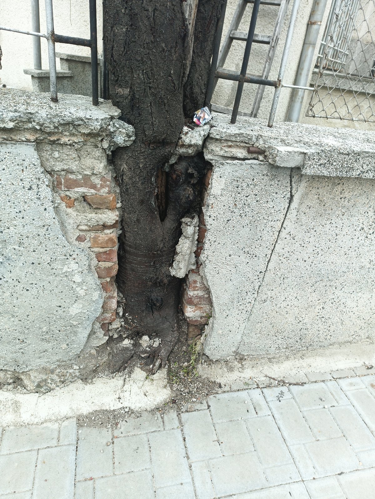 Urban decay and nature reclamation documented in Karnobat