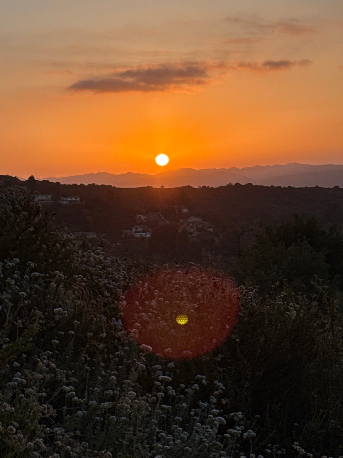 Golden hour over the LA hills, dry brush and all