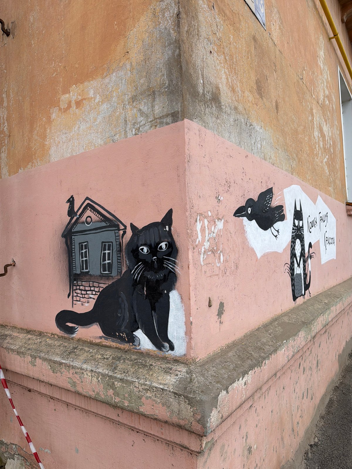 Cat-themed street art documented on pink walls in Votkinsk