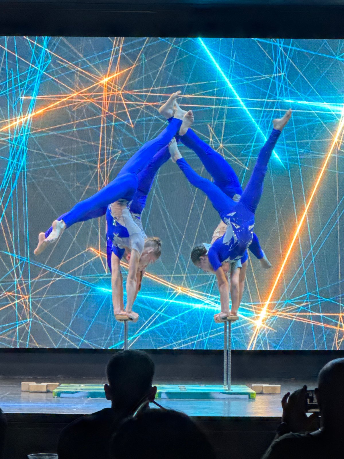 Full circus show with aerials, acrobatics, and clowns in Manavgat