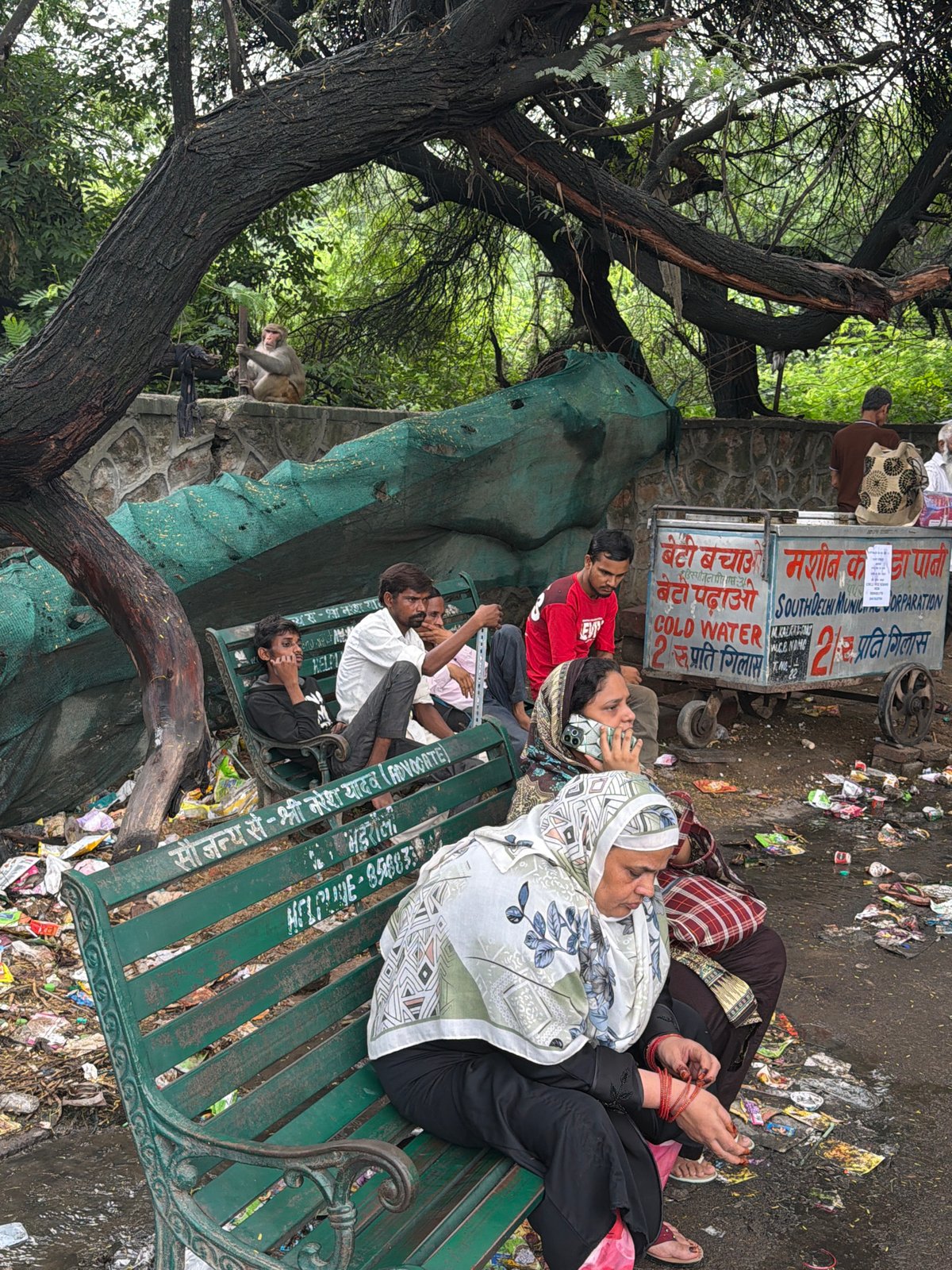 Street life, old gates, and a monkey in Delhi