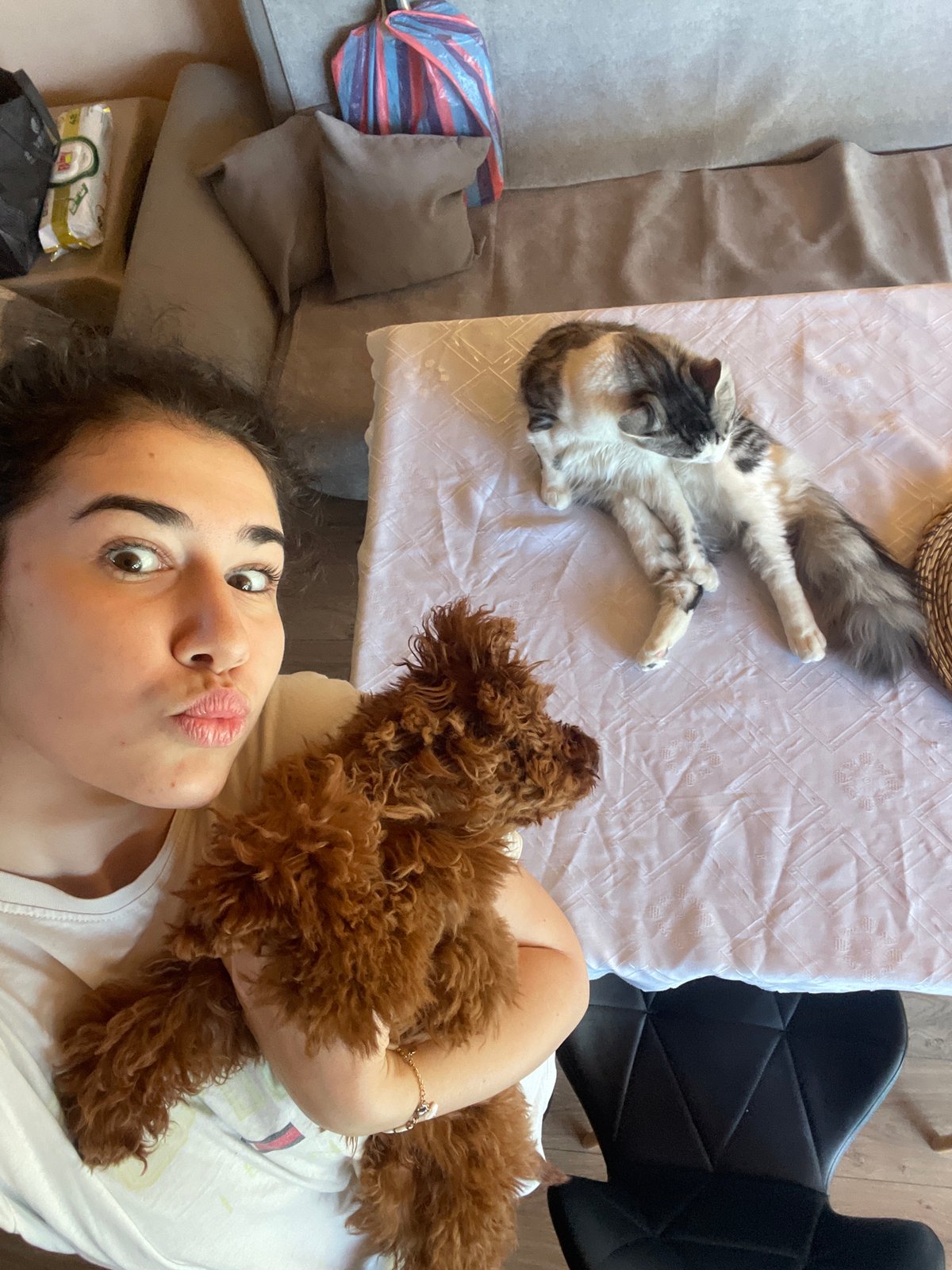 Sofia resident documents morning routine with pets and car wash