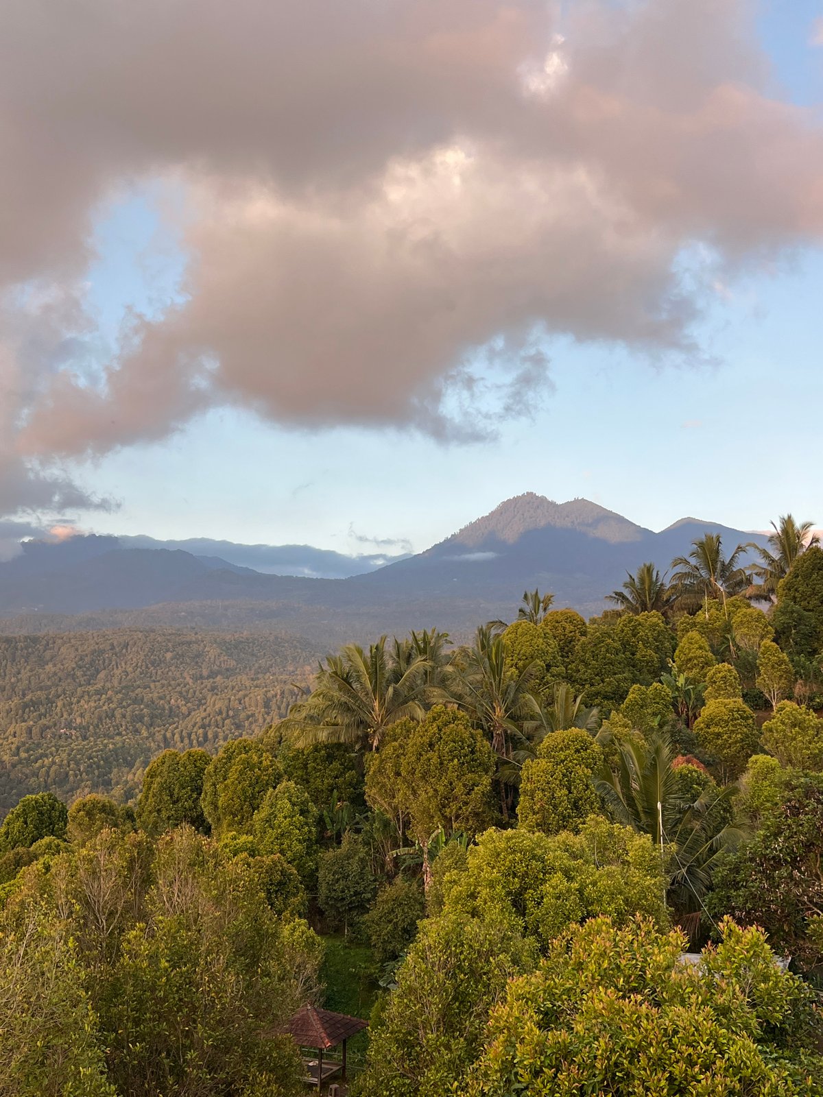 Hilltop views and a poolside meal in Busungbiu, Bali