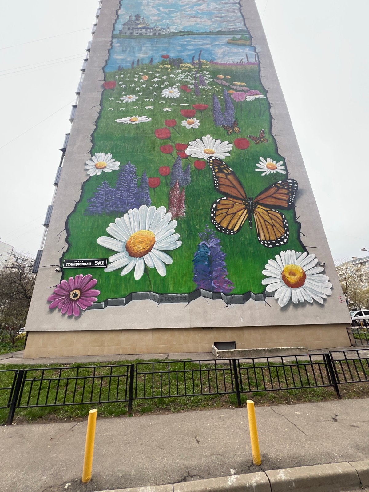 Morning dog walk documented near colorful murals in Mytishchi