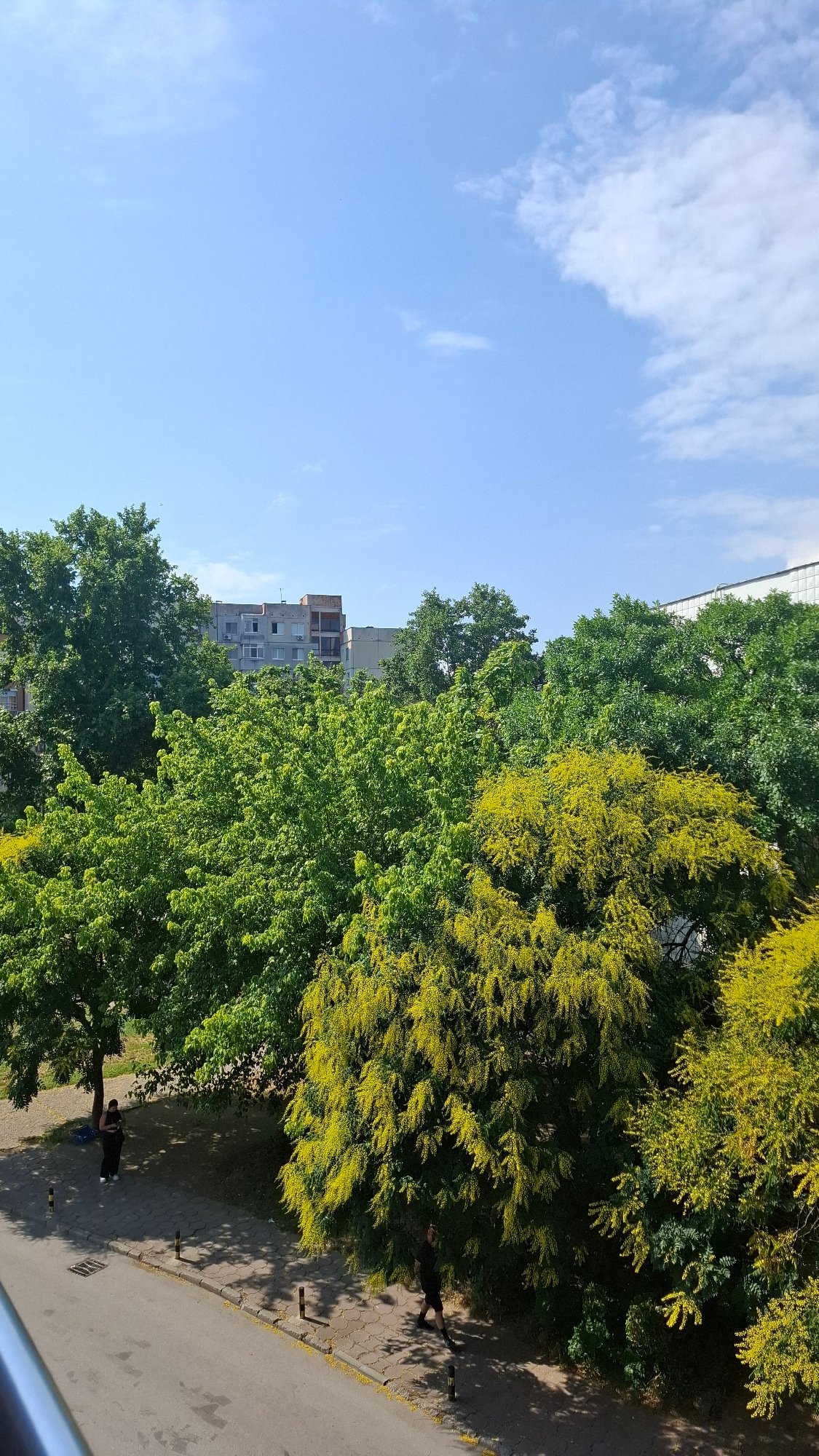 Plovdiv residential streets on a bright summer morning
