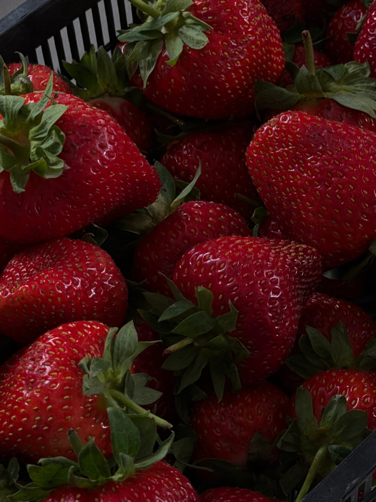 Cat plays with strawberries in Kazan home