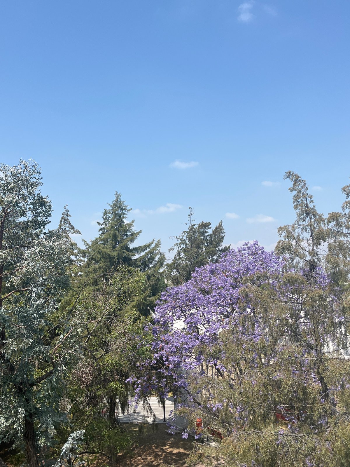 Clear afternoon skies and urban development observed in Puebla