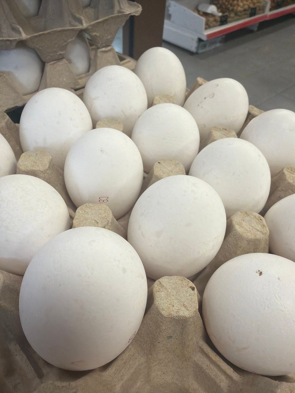 White eggs in cardboard carton photographed in Krasnoyarsk