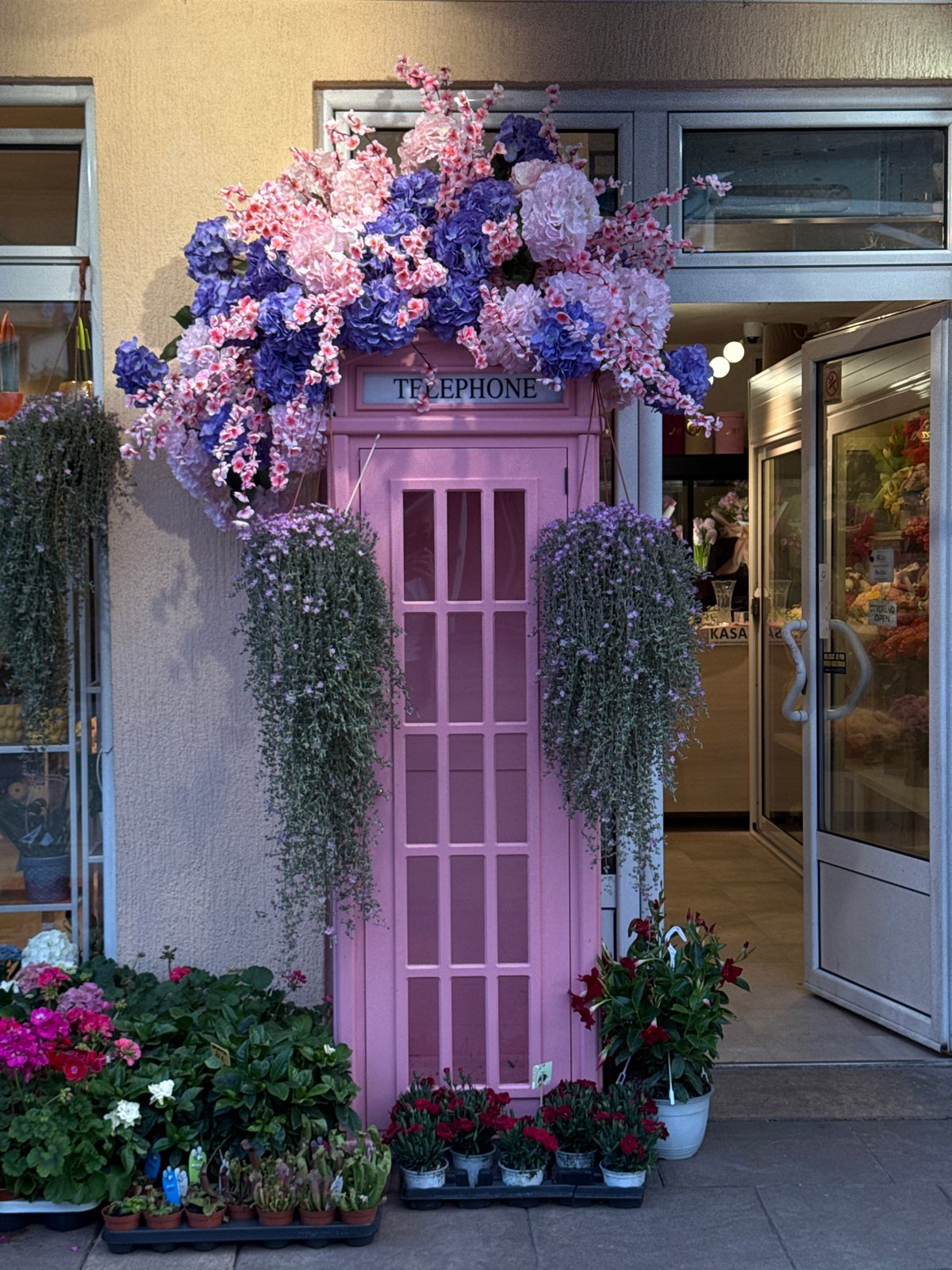 Flower-decorated pink phone booth spotted in Budva, Montenegro