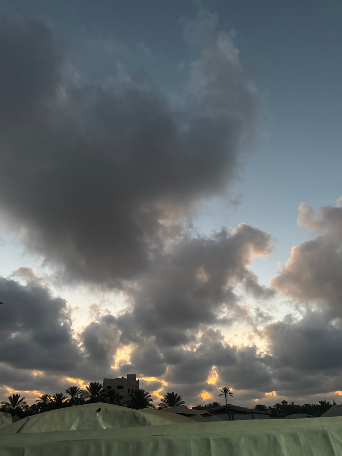 Stormy sunset over a palm-lined city skyline