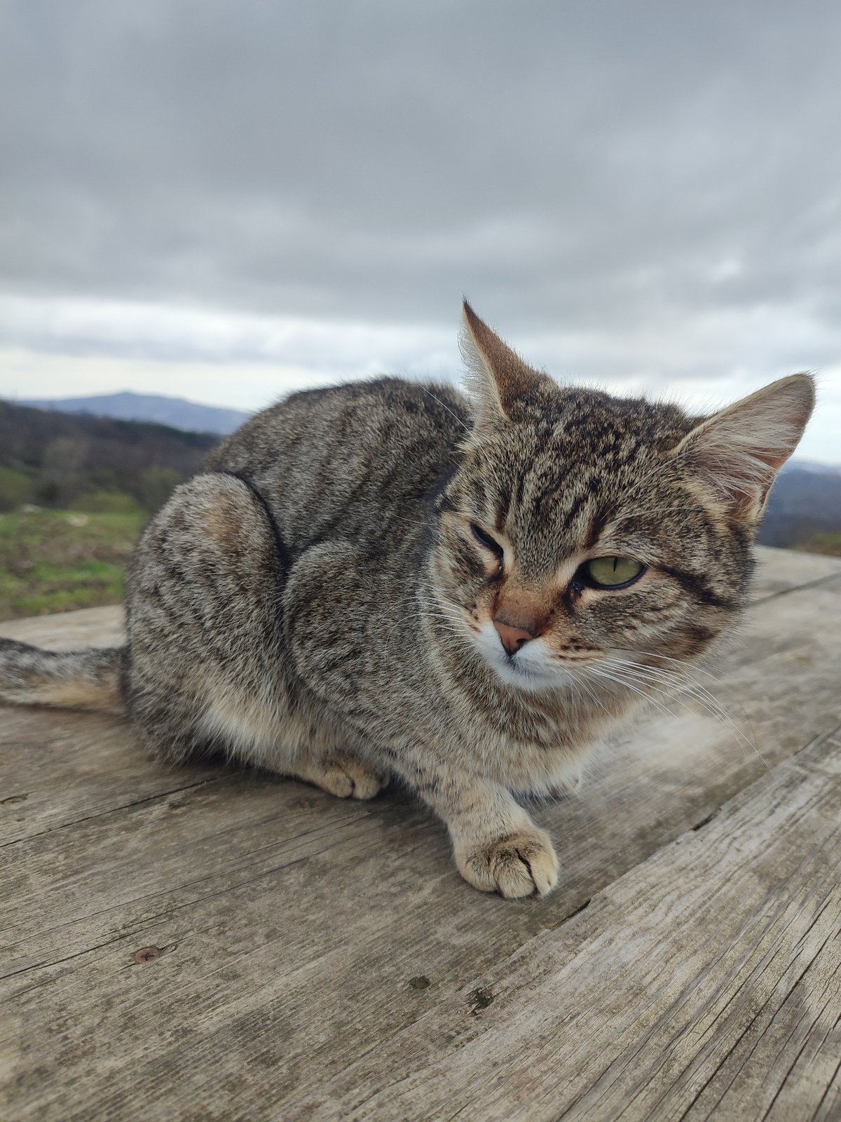 Rural life moments documented in Russian villages