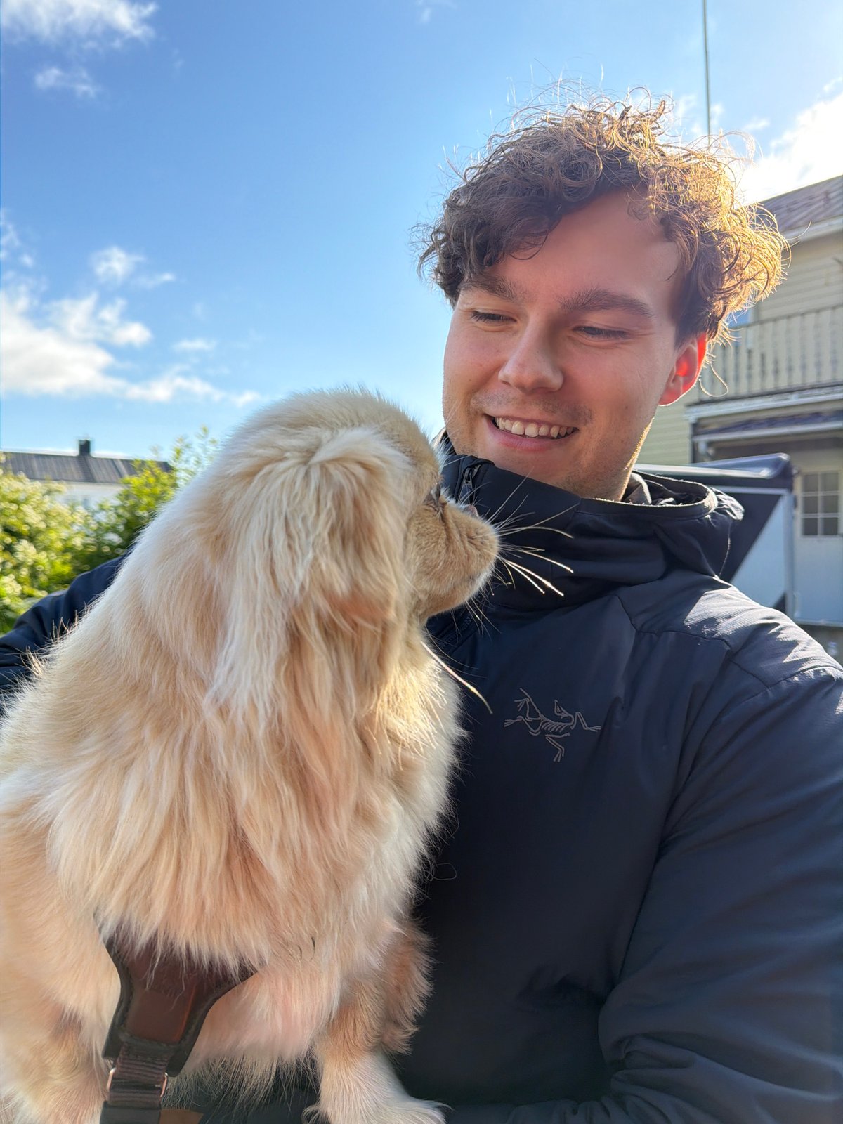 Fluffy puppy gets held close on a July morning in Harstad