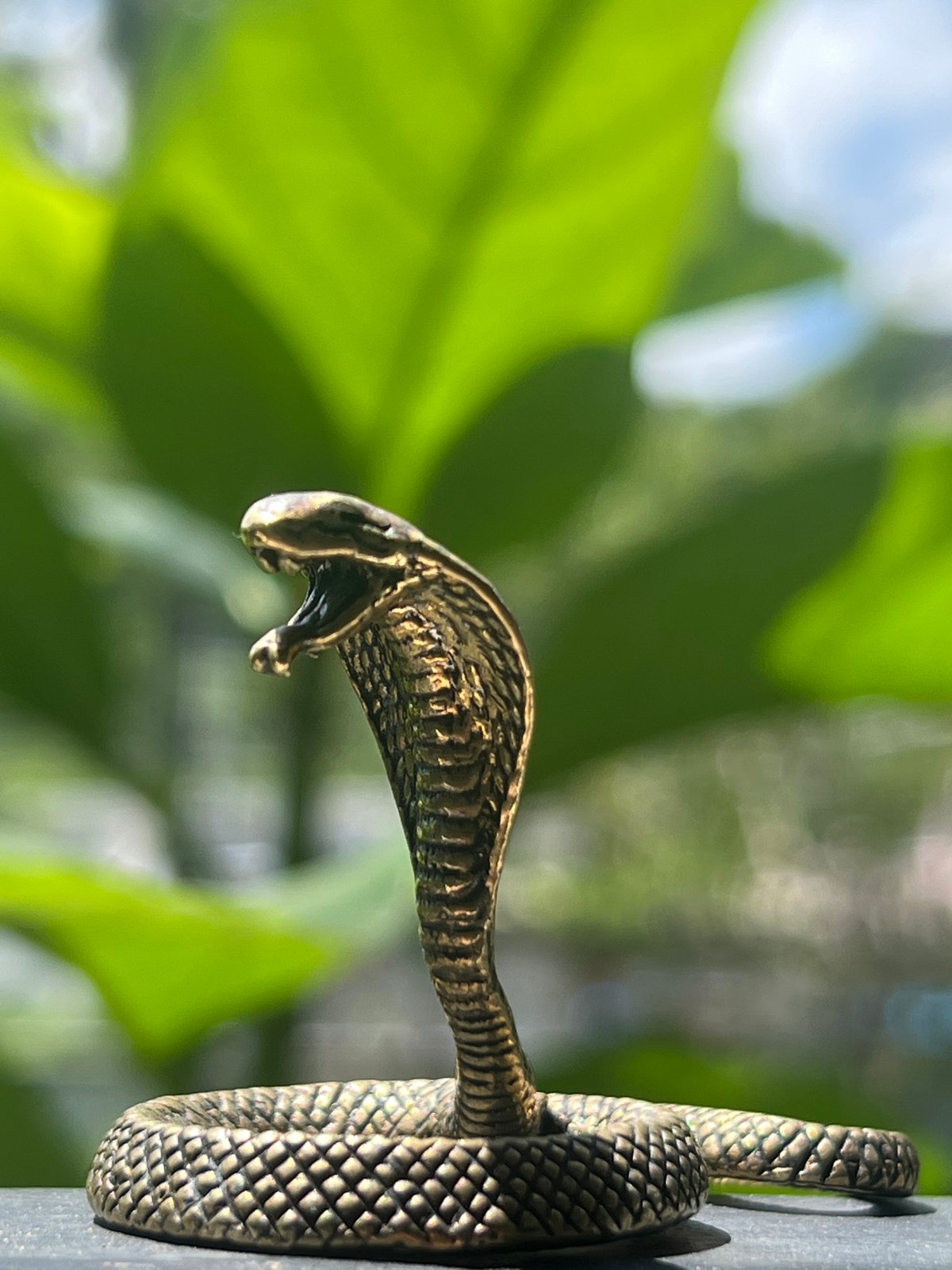 Morning scenes in Karon: cobra figurine and tabletop reading setup