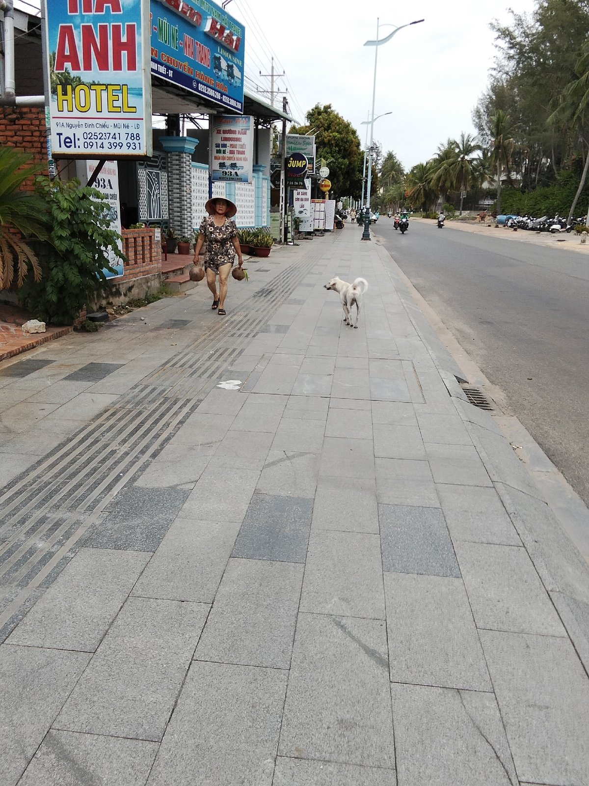 Quiet morning in Phu Thuy Ward — streets, gardens, and home life