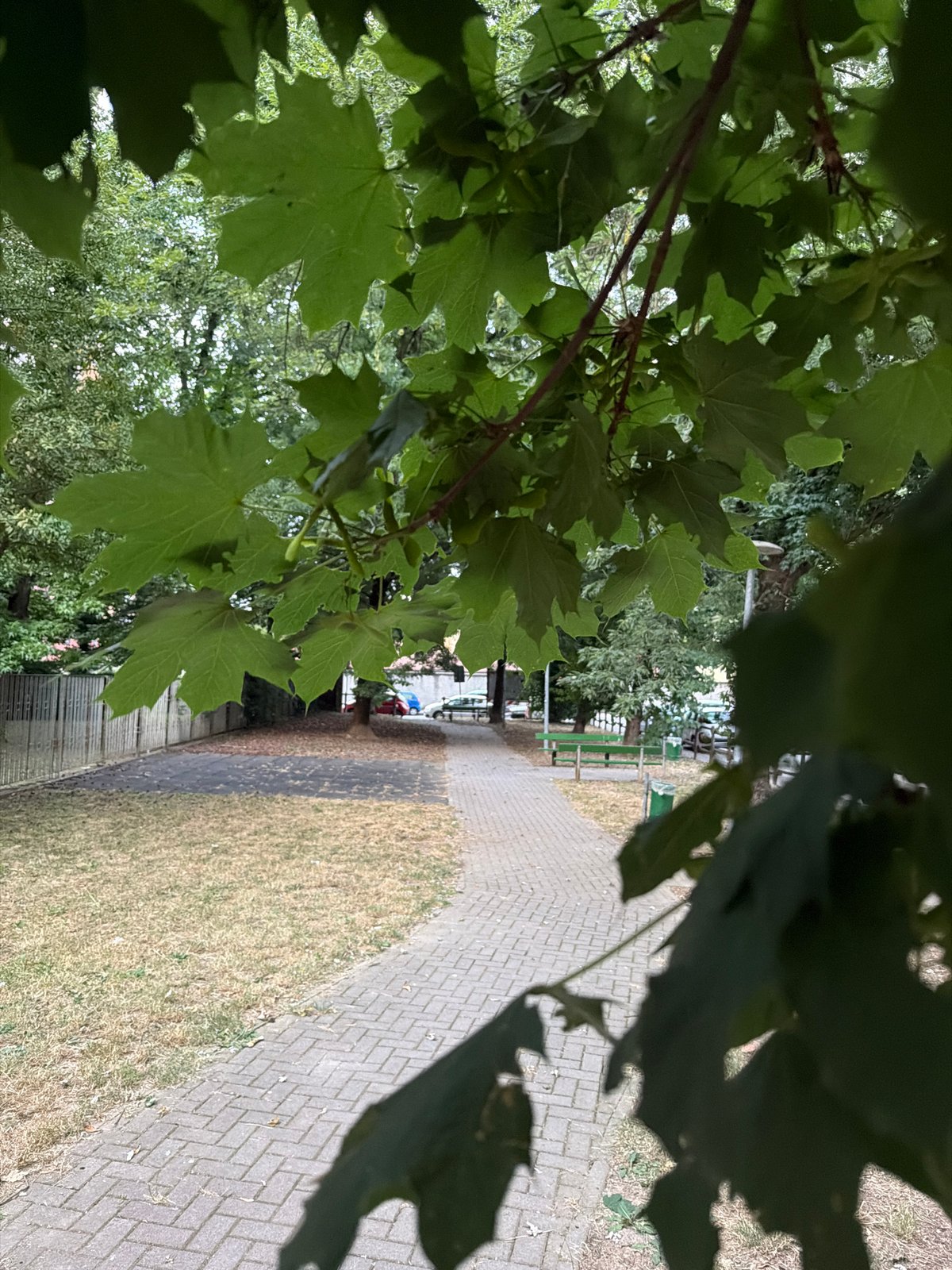 Evening stroll through a quiet Novara neighborhood, sneakers and all