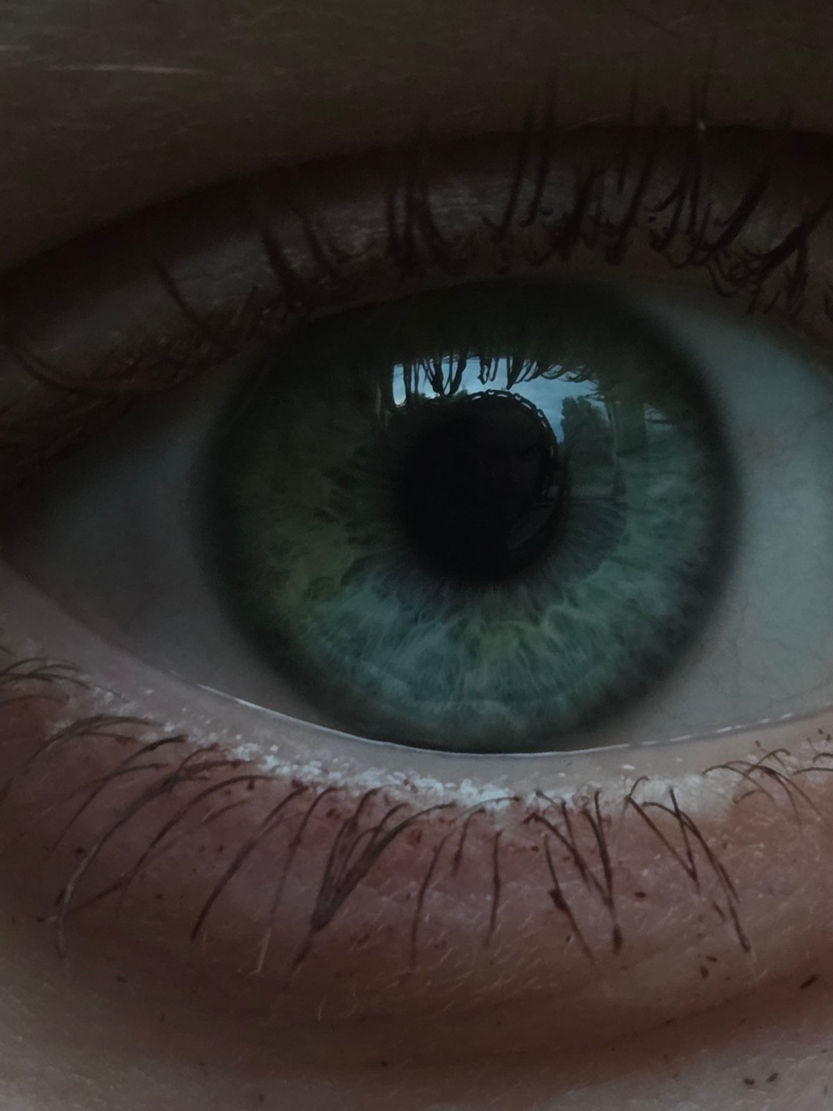 Close-up memories of eyes, pets, and quiet moments documented