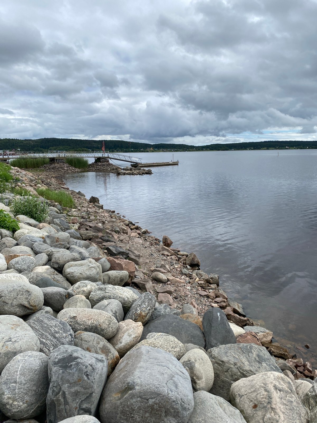 Lakeside morning in Sortavala: waterfront, wildlife, and local life