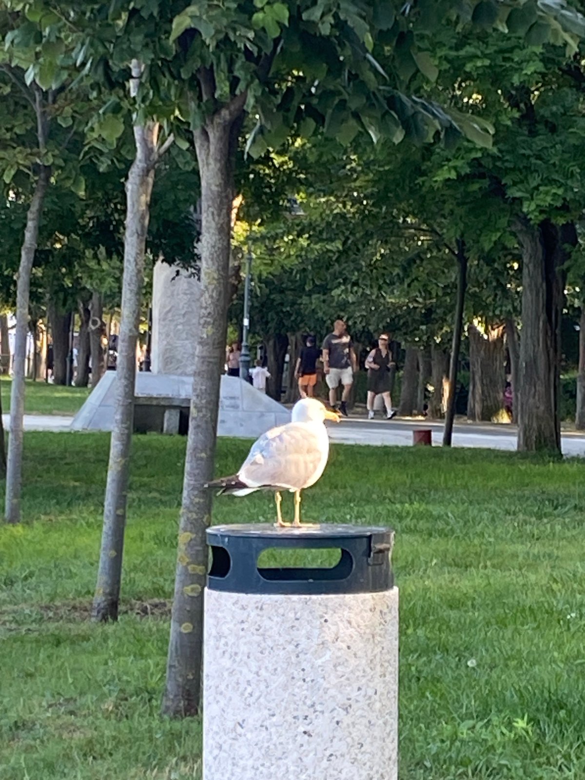 Burgas beach and park: choir performance, crowds, and a bold seagull
