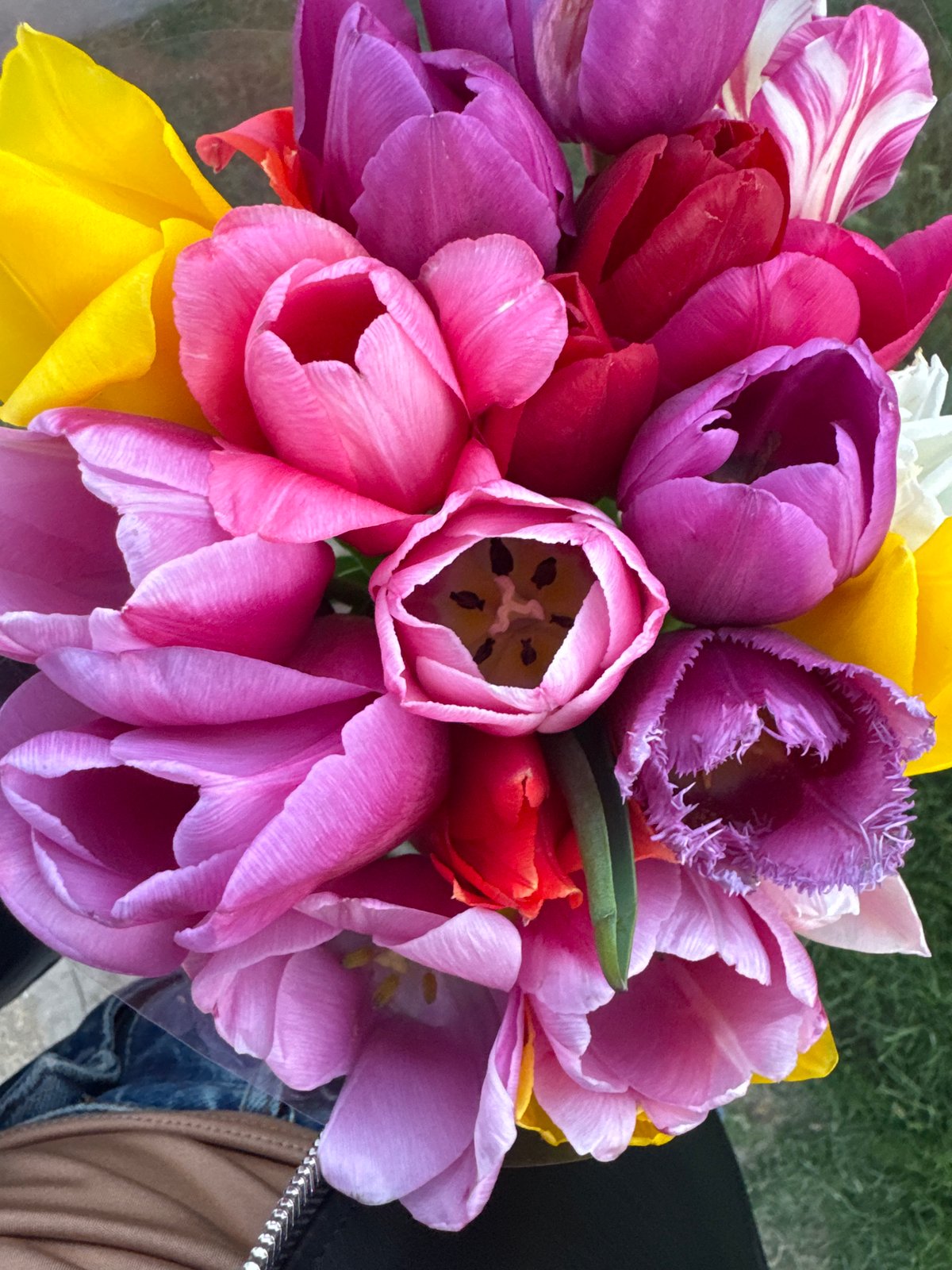 Woman carries tulip bouquet through Kryvyi Rih at sunset