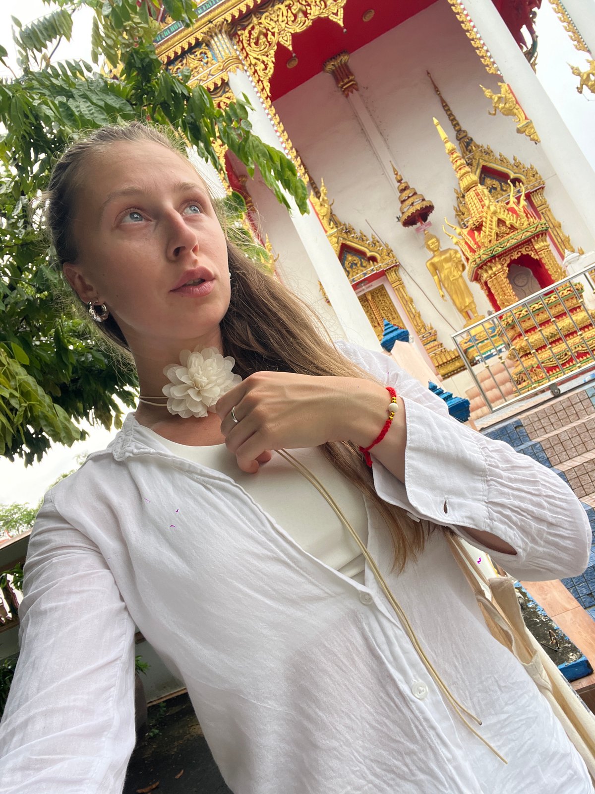 Cats and golden shrines at a Si Sunthon temple