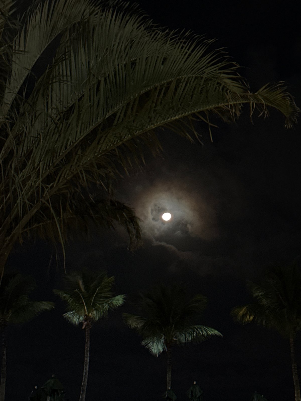 Rio residents capture moonlit evening of dining and coastal scenes