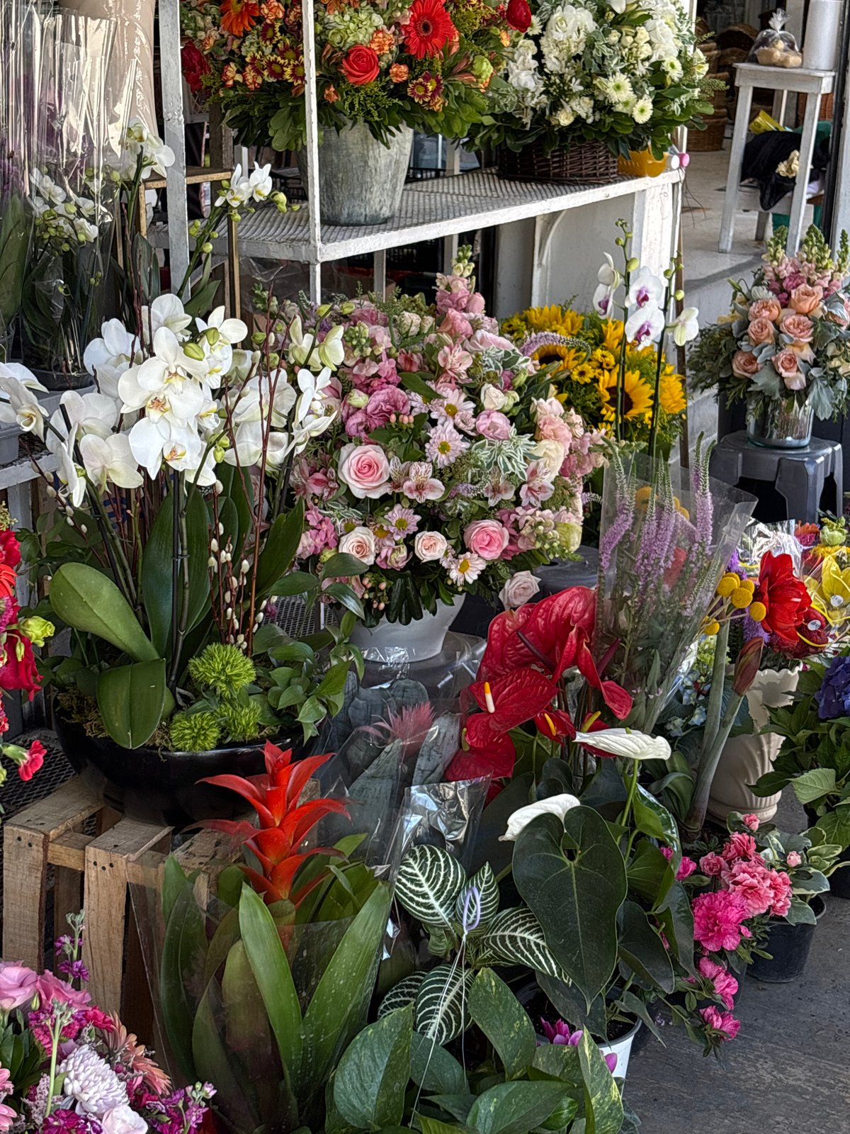 Evening scenes captured across Mexico City markets and establishments