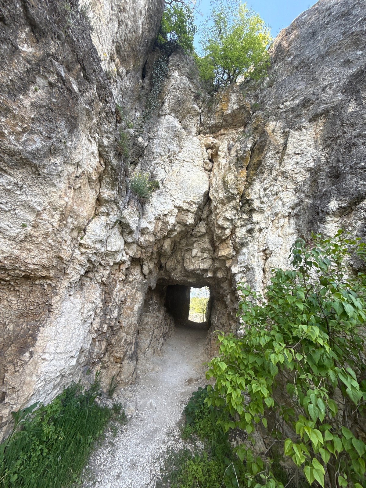 Limestone cliff with green vegetation documented in Pleven, Bulgaria