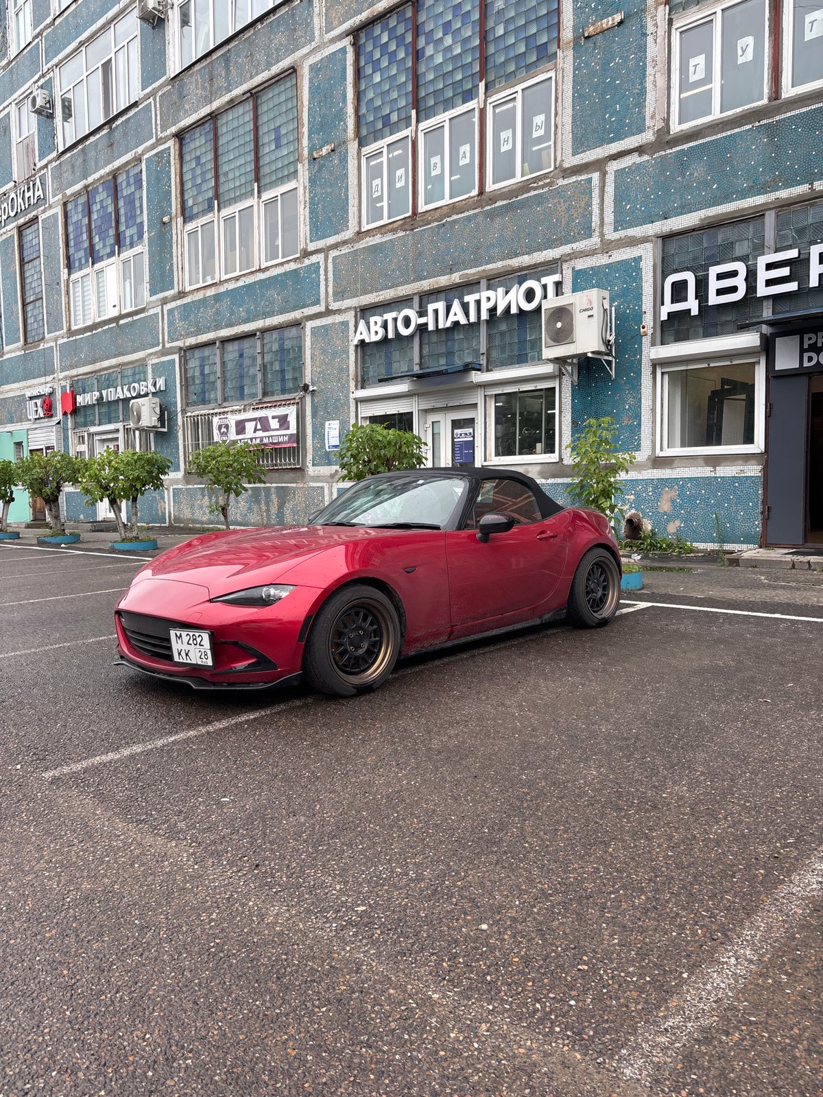 Rainy morning at a Blagoveshchensk auto yard, dog included