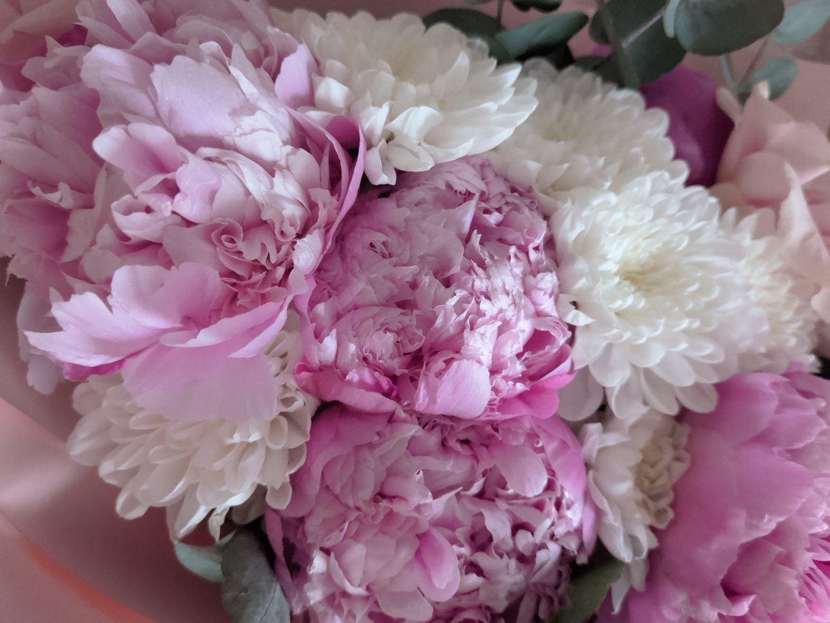 Flowers, sushi prep, and Krasnoyarsk courtyards on a quiet afternoon