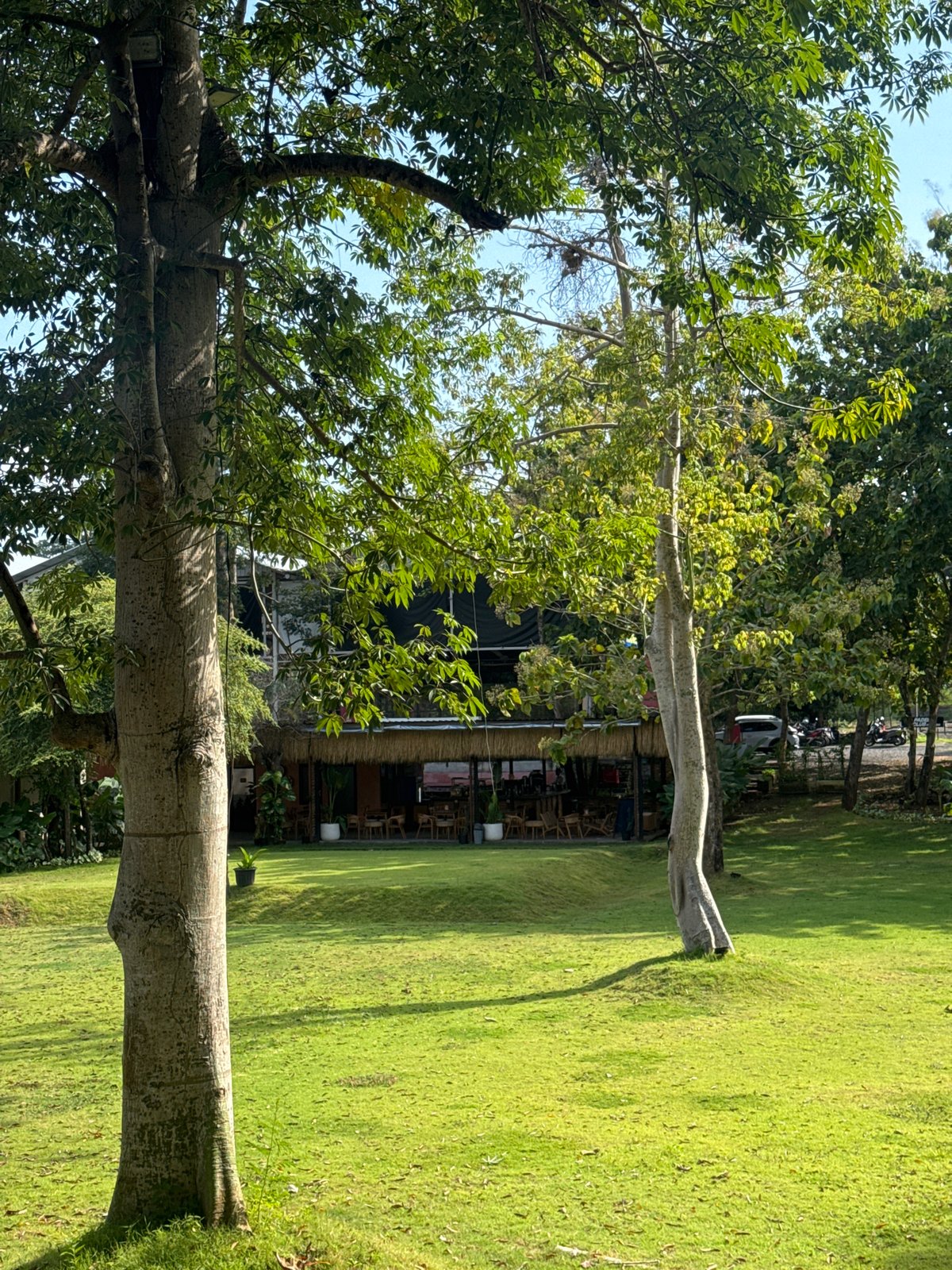 Quiet moments: park grounds and stuffed frog toy documented