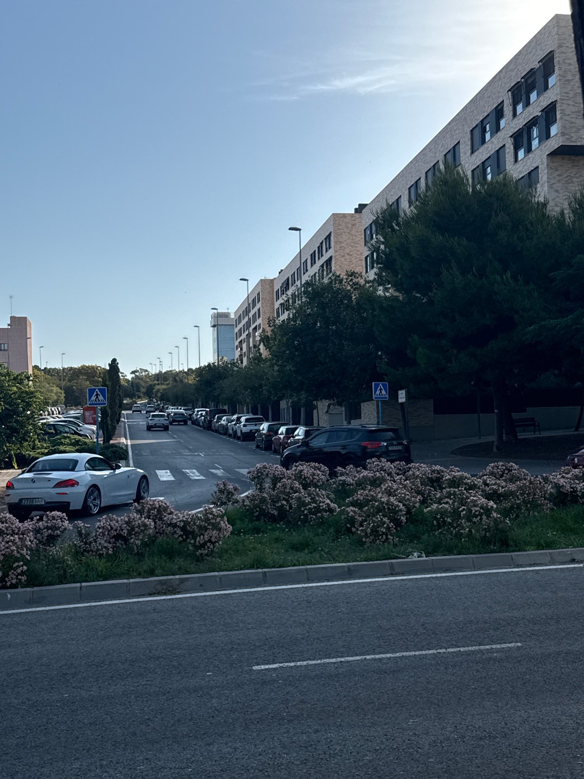 Morning urban scenes documented: streets, parks, dog, fortress views