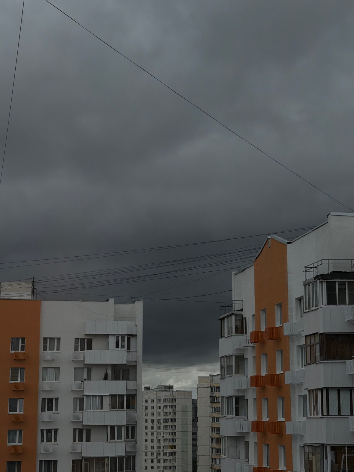 Casual morning at home in Khimki with parrots, crafts, and city views