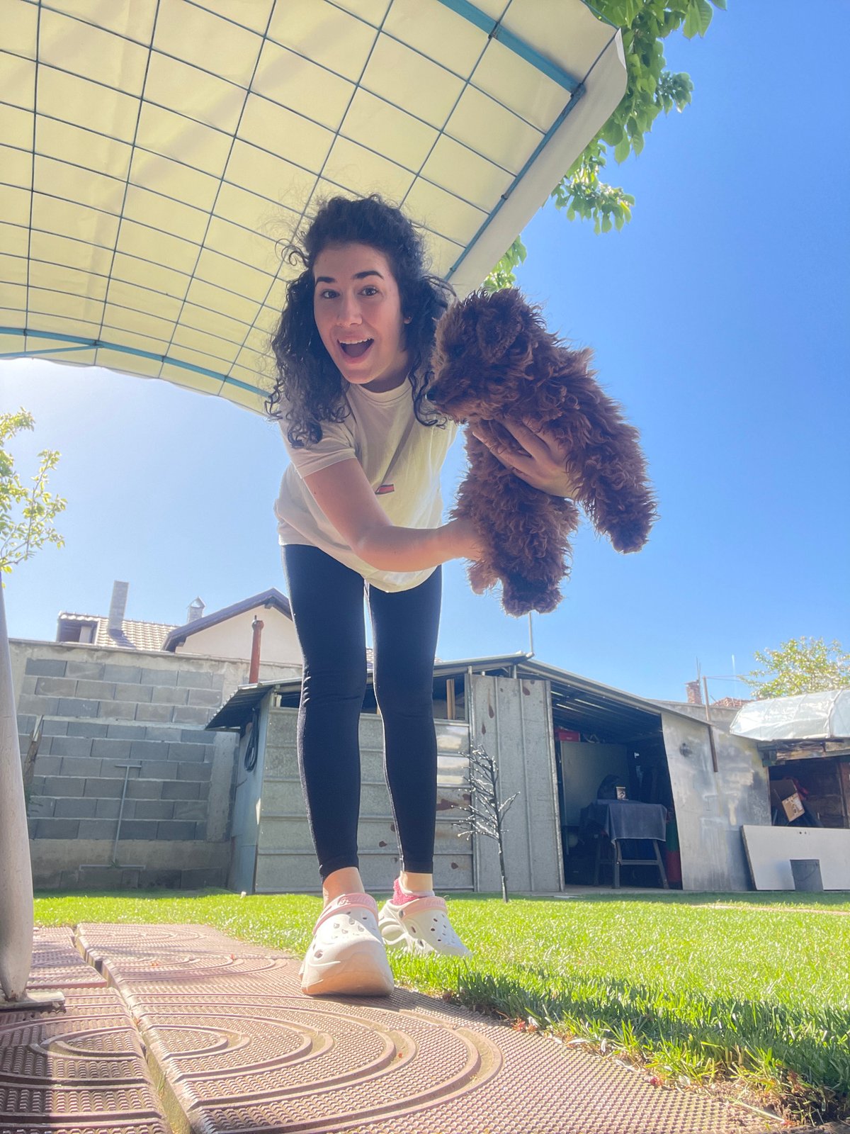 Woman and fluffy dog share morning playtime in Sofia