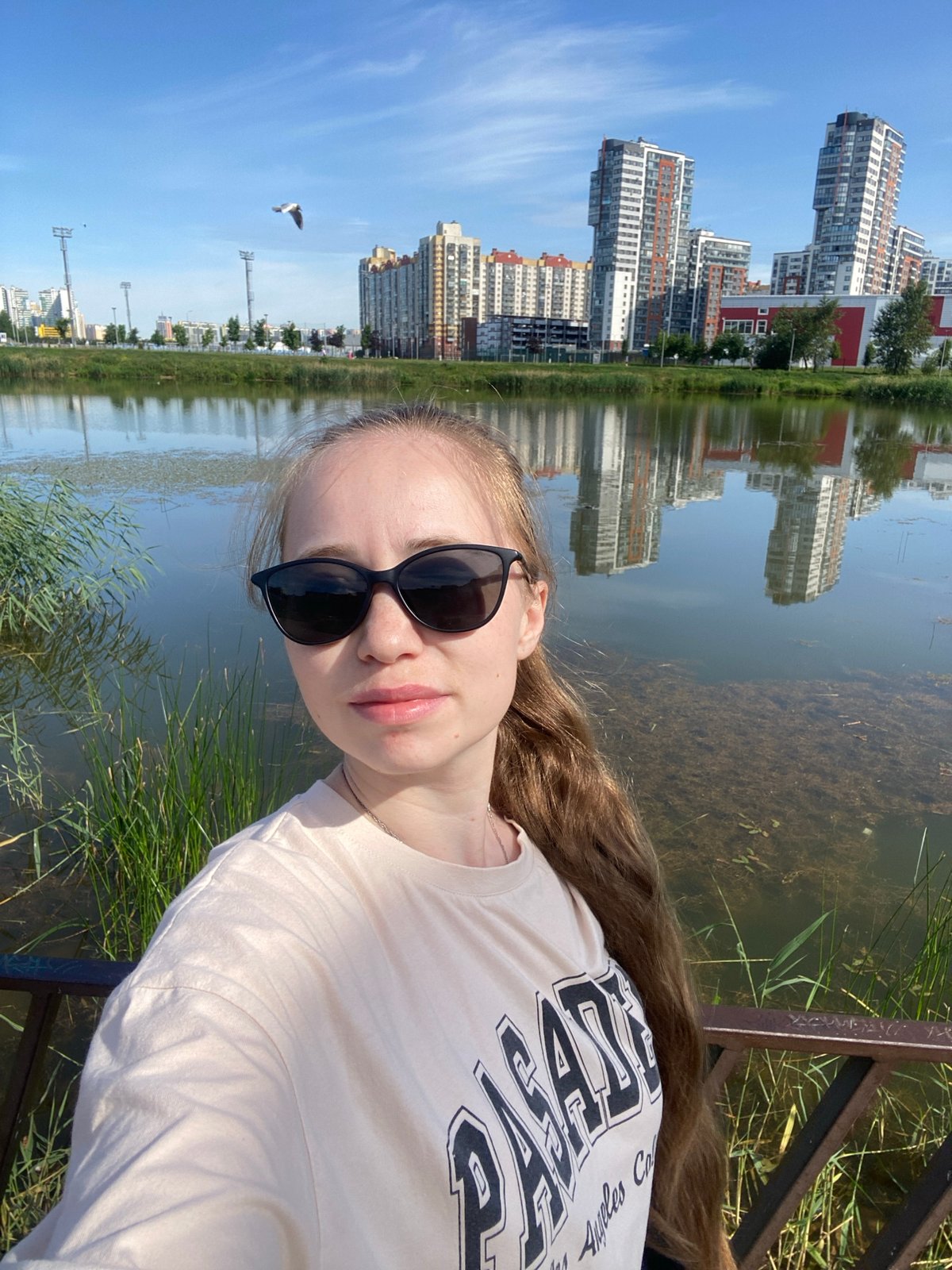 Lazy summer morning at a Saint Petersburg park pond
