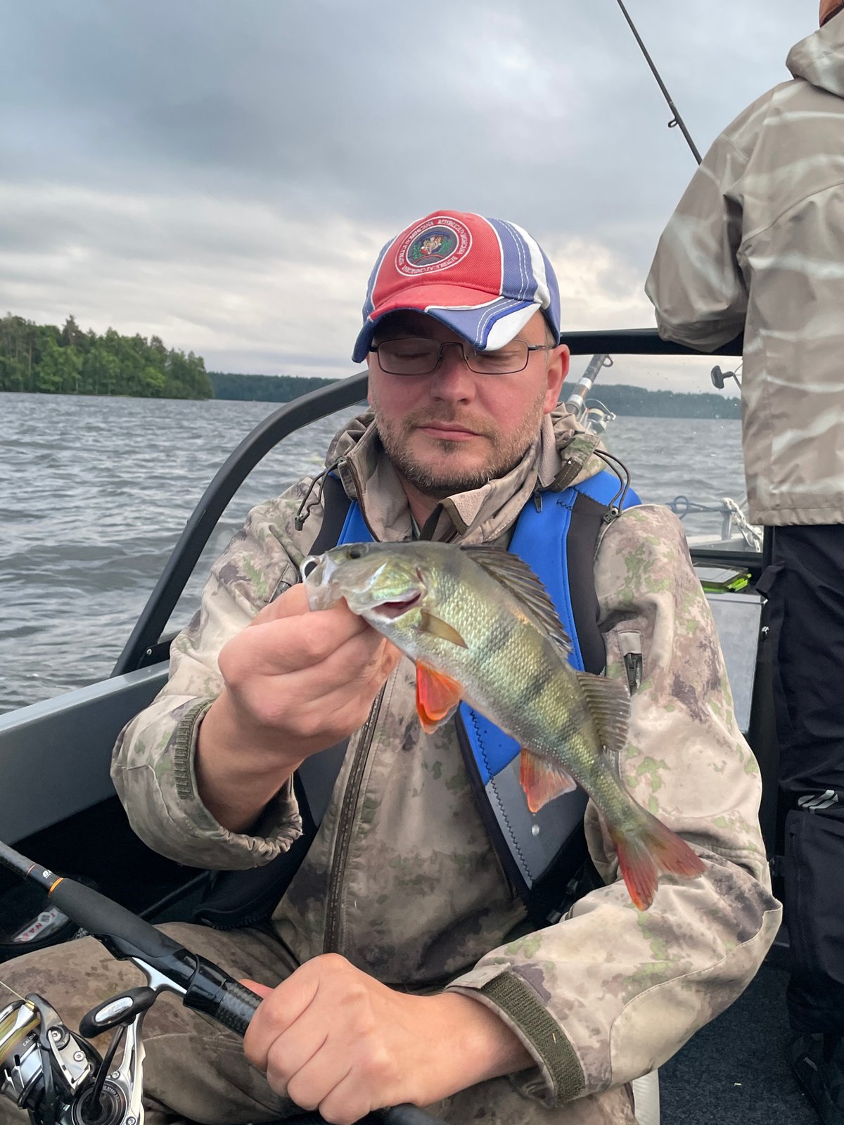 Perch caught on a choppy lake near Yablonovka, Russia