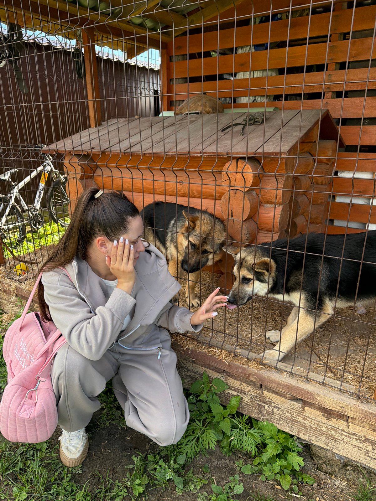 Lazy afternoon in rural Andreyevo with dogs, fields, and dirt roads