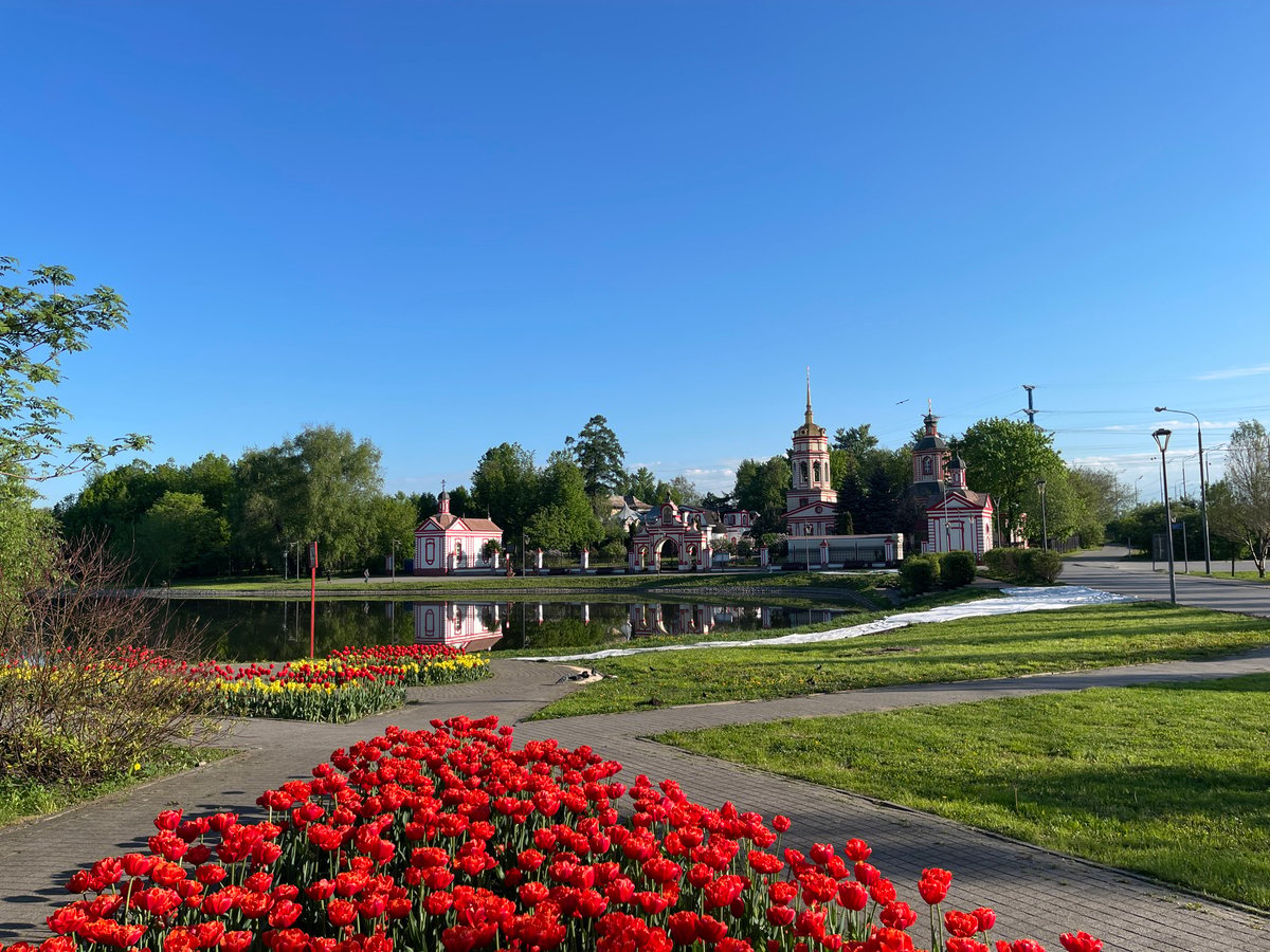 Spring tulips bloom in Moscow park with optical illusion