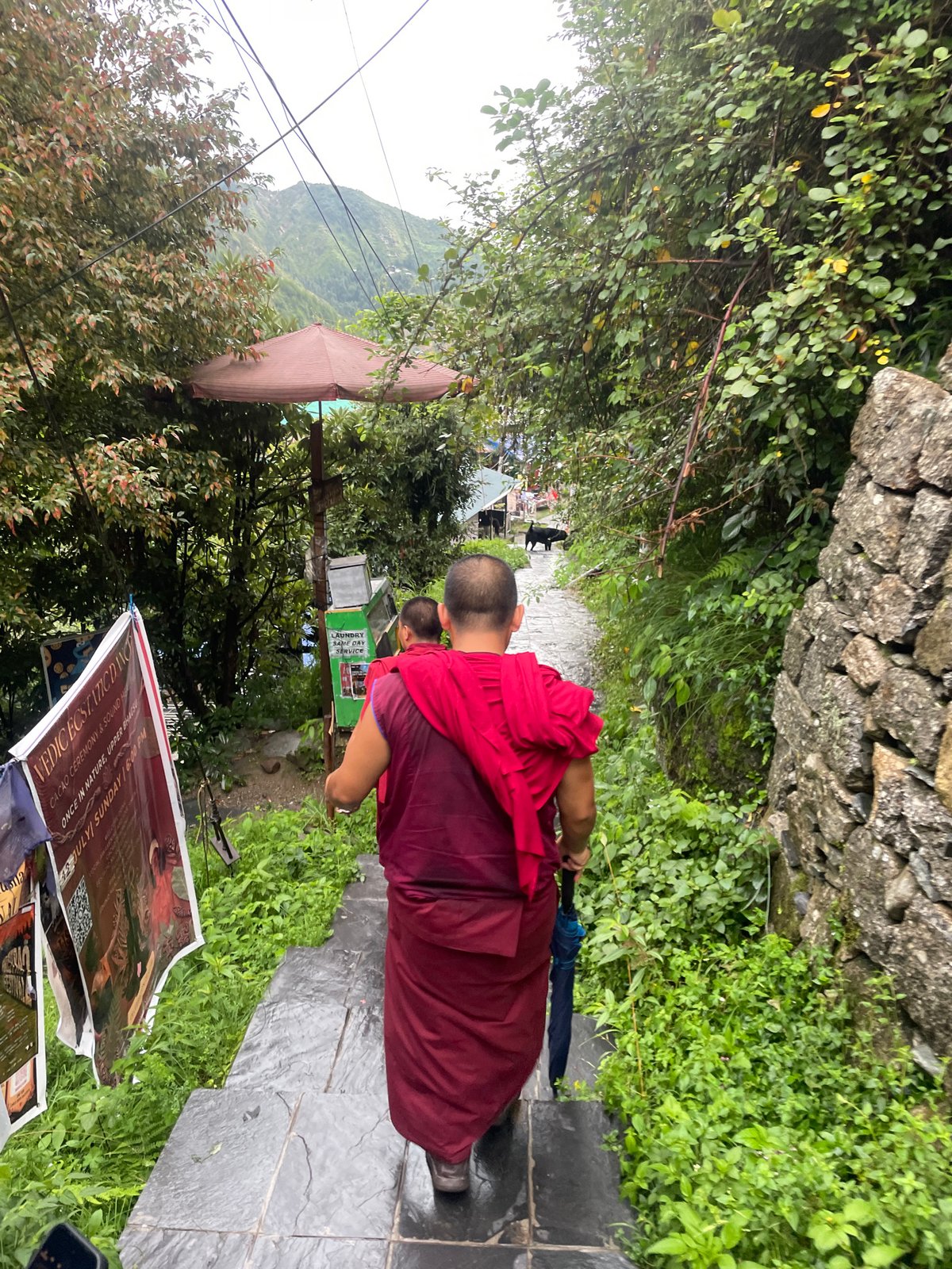 Rainy day foot traffic on Bhagsu's wet stone staircases